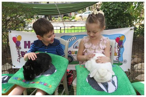 petting zoos on long island|petting zoo for parties.